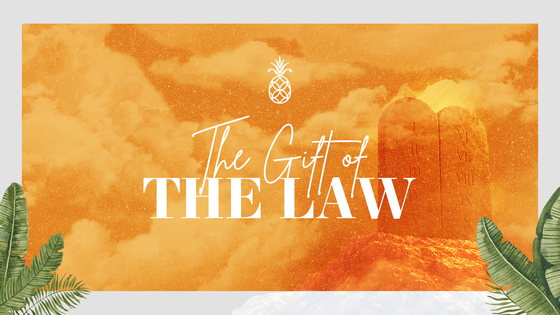 The-Gift-of-the-Law The Churchwide Series:<br />
Resilient